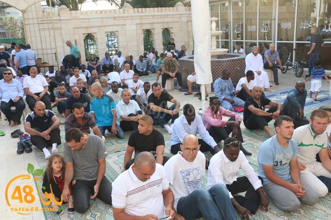 7san bek salahai (72).JPG